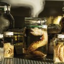 CW-1152-01 이미지