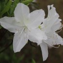 죽림폭포 공원 이미지