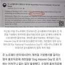 HEAVEN DOG 이미지