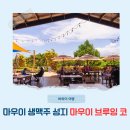 크래프트 인조이 브루잉 컴퍼니 | 하와이 여행 마우이 섬 마우이브루잉컴퍼니 본점 Maui Brewing Co