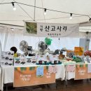 꽃-가족 | 2025 가평 자라섬 꽃페스타 후기 – 가족과 함께한 비 오는 날의 꽃 여행