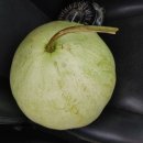 함양양파영농조합법인 이미지