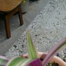 한독동물병원 이미지