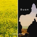 수성당 | 부안 변산반도 유채꽃 명소 수성당과 포토존 해식동굴 다녀온 후기