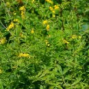 선학초등학교 이미지