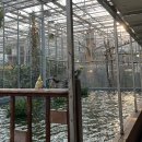 경주동궁원 알화장실 | 경주 실내 가볼 만한 곳, 동궁원 버드파크 유모차대여 수유실 위치 | 7개월 아기랑