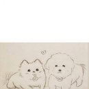 멍블리 애견카페 이미지