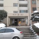 덕진-14 이미지