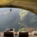 지리산큰나무 | 경남 가을 캠핑 애견동반 지리산 당근오토캠핑장 가3번