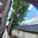 고삼면사무소 이미지