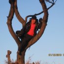 22번수산 이미지