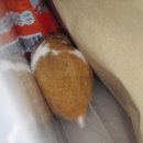 여장군PC 네이버블로그