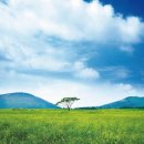 전제만목장 이미지