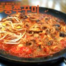 용두동 쭈꾸미 이미지