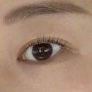 대전속눈썹 뷰티바이밍