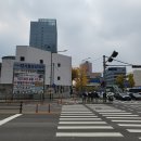 한강동