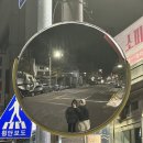 백스비어 강원인제점