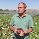 중부농산 이미지