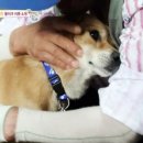 똘이농장 이미지