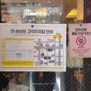 4200 | 대전 성심당 본점 웨이팅 후기, 주차장부터 빵 추천까지