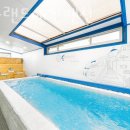 라라팬션 이미지