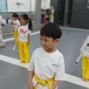 태극(황금관)태권도장 이미지