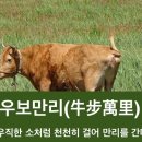 우보만리 이미지