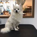 덕이 미장원 이미지