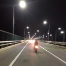 88디디