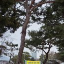 세븐일레븐 마석신도점 | 남양주 마석 절 화광사 2026년 입춘 삼재풀이 방법 부적 종류