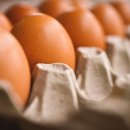 달걀로 치매 예방?…꾸준히 섭취하면 알츠하이머 위험 감소~ 이미지