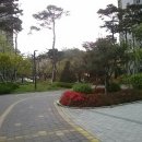 푸르지오숲어린이집 이미지