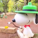 대천환승정류장 | 제주 여행 스누피가든 총정리 입장료 할인 꿀팁