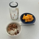 21주 쌍둥이 임산부 일상 #포토덤프
