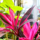 상동호수공원 이미지