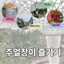 창인터랙티브 | #7. 싱가포르여행 Day4 : 싱가포르 국제공항, 주얼창이 어트랙션 즐기기, 공항 쇼핑(싱가포르 쇼핑템...