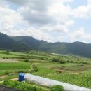 월란정사(月瀾精舍) 이미지