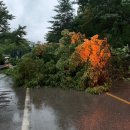 옥천-비상14호 이미지