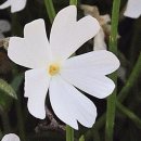 양달캠핑장 이미지