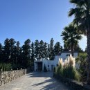 안덕버스정류장 | 제주 서귀포 독채펜션 내돈내산 귤밭 프라이빗 자쿠지 제주 하뭄 머뭄동