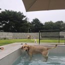 파머스펜션 이미지