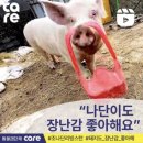 조나단목장 이미지