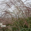 유성구청 7층 이미지