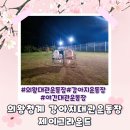 제이농장 | 의왕청계 인원제한없는 강아지대관운동장 제이그라운드