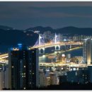 황제 행정사사무소 이미지