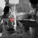 (주)하쿠호도제일 네이버블로그