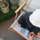 강감찬 생가 터 | 서울 아기와 갈만한 곳 낙성대공원 산책 코스와 생강라떼 맛집 카페190