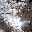 동원셀프세차장 이미지