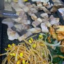 더크립24 이미지