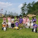 김천초교병설유치원 이미지